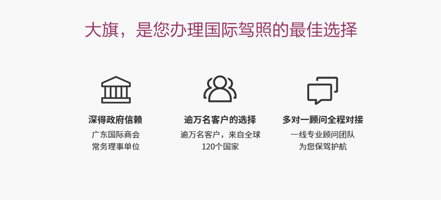 国际驾照产品介绍（PC中文）_02_02.jpg